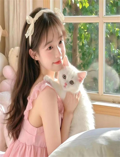 乌龙派出所：封锁胜哄桥美学价值分析：艺术美感与审美特征探讨